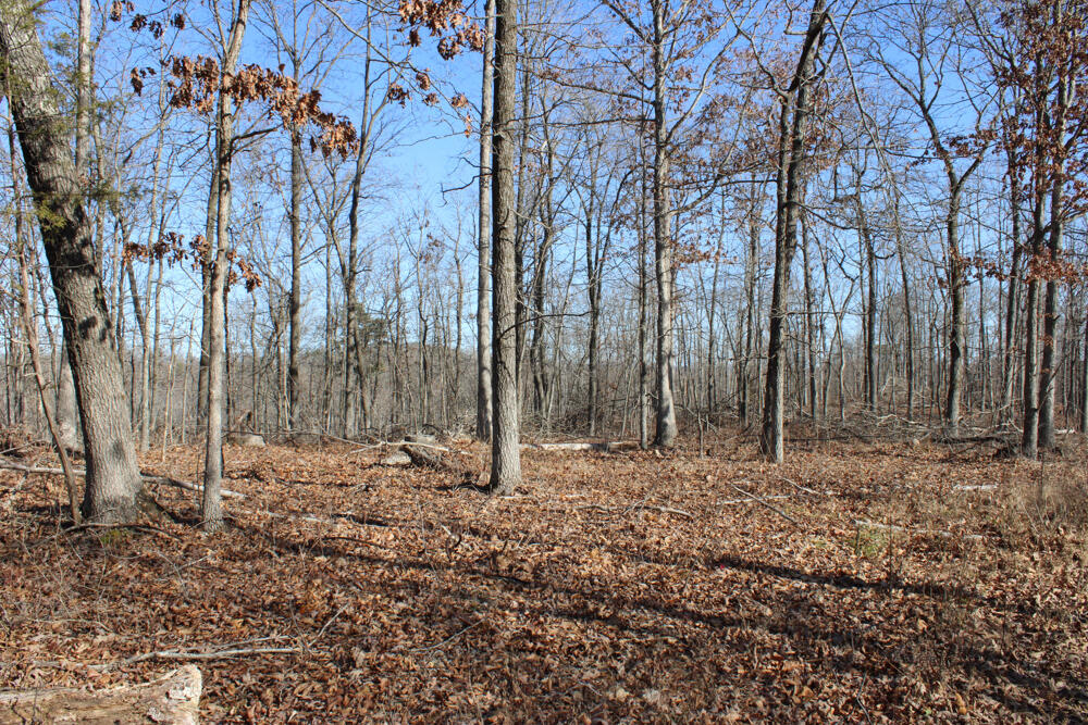 0000 County Road 336 Property Photo 51