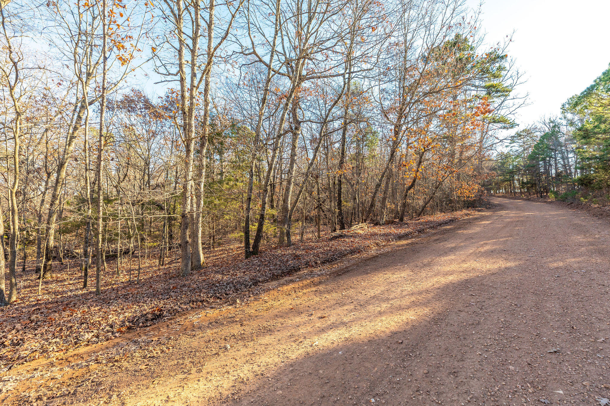 000 County Road 507 Property Photo 4