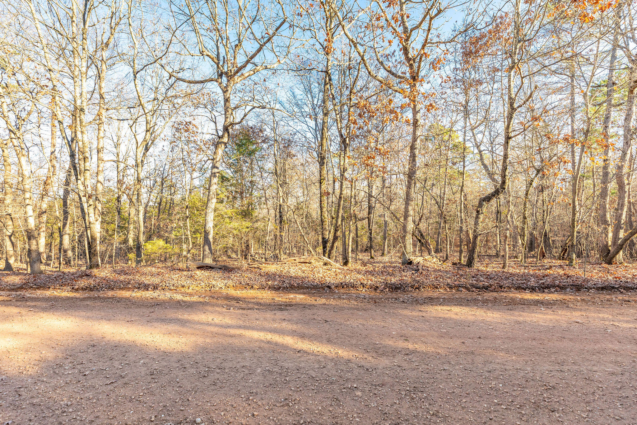 000 County Road 507 Property Photo 5
