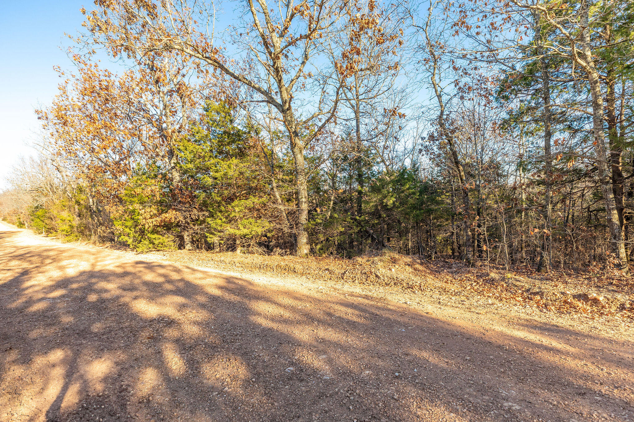 000 County Road 507 Property Photo 7