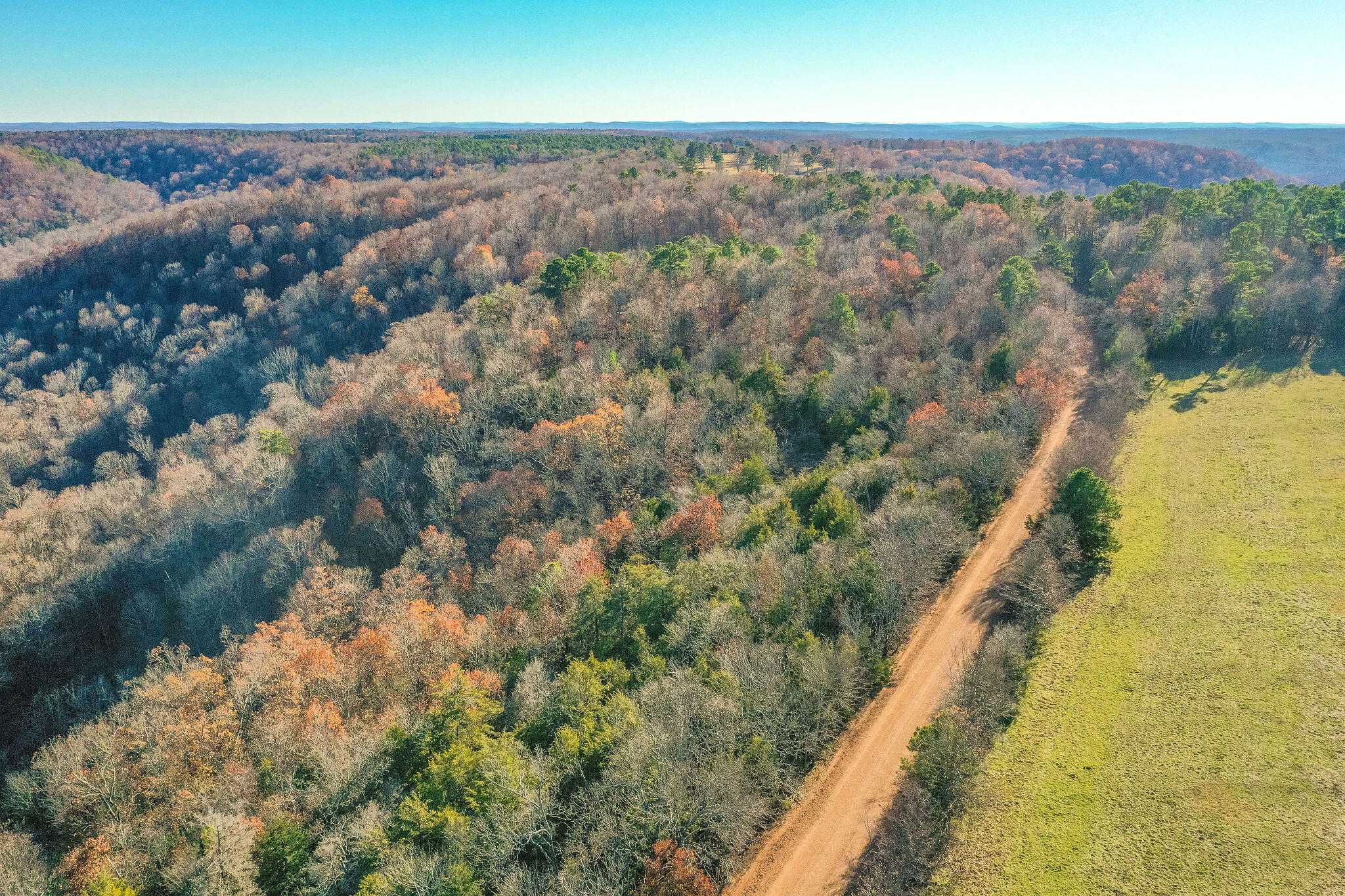 000 County Road 507 Property Photo 9