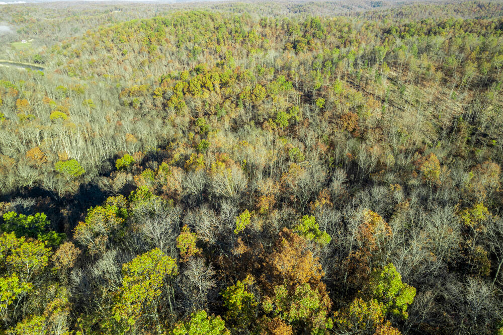 0000 County Road 336 Property Photo 1