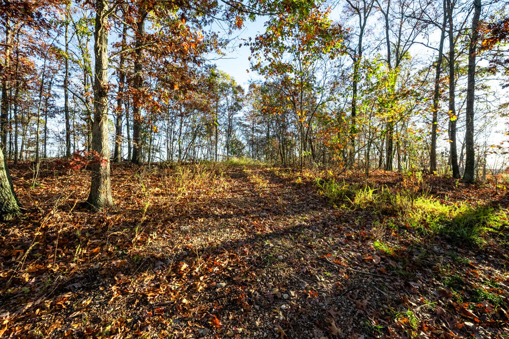 0000 County Road 336 Property Photo 11
