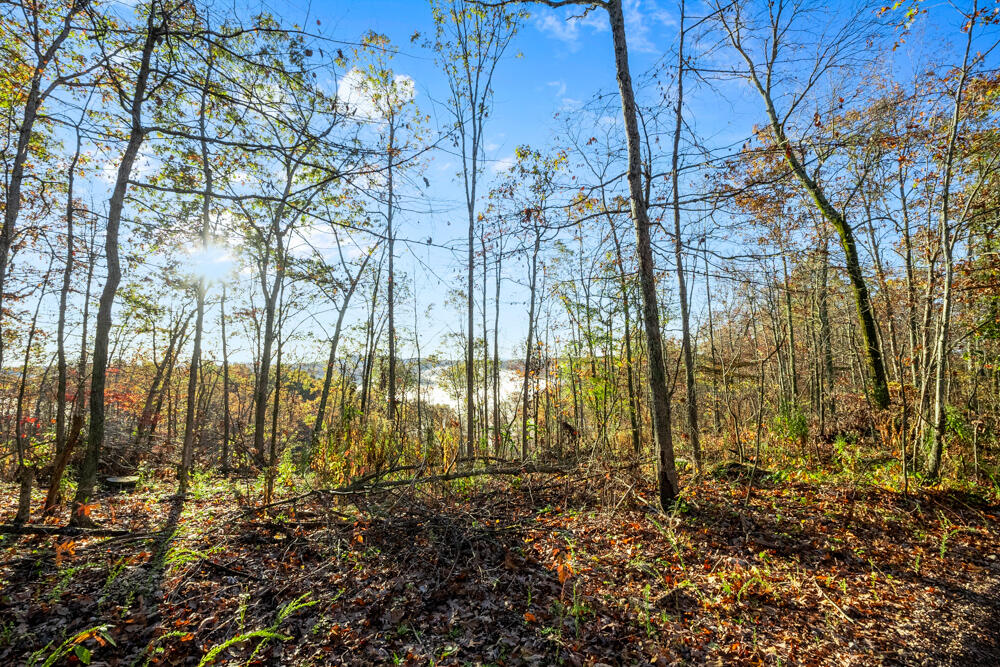 0000 County Road 336 Property Photo 13