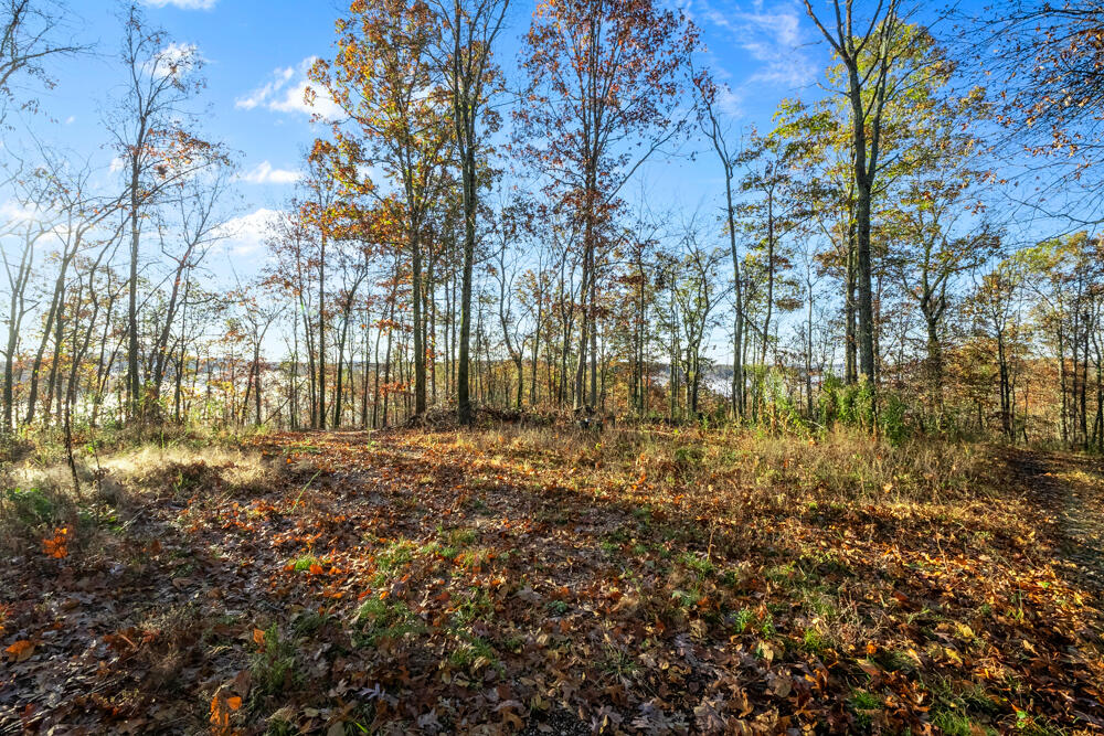 0000 County Road 336 Property Photo 16