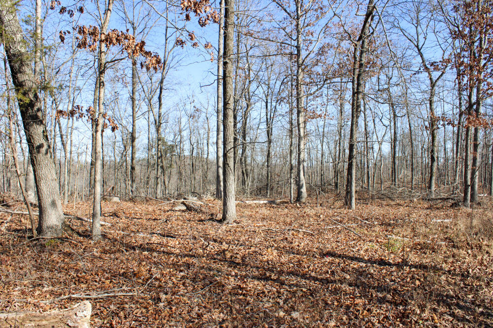 0000 County Road 336 Property Photo 27