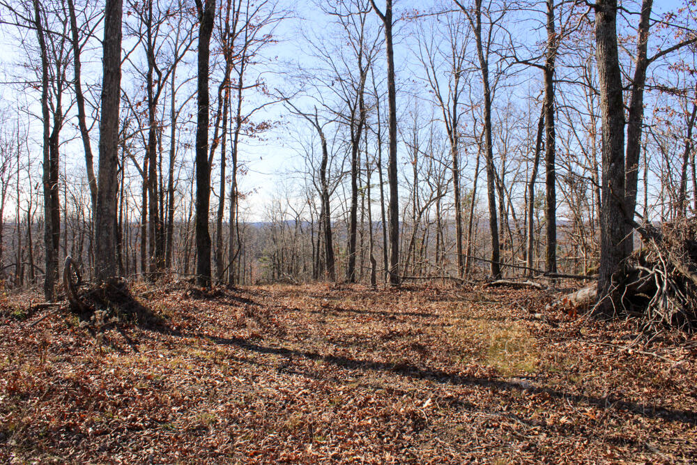 0000 County Road 336 Property Photo 28