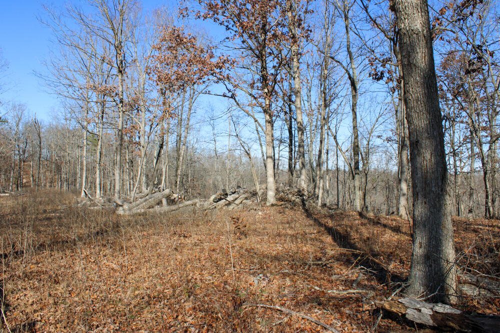 0000 County Road 336 Property Photo 29