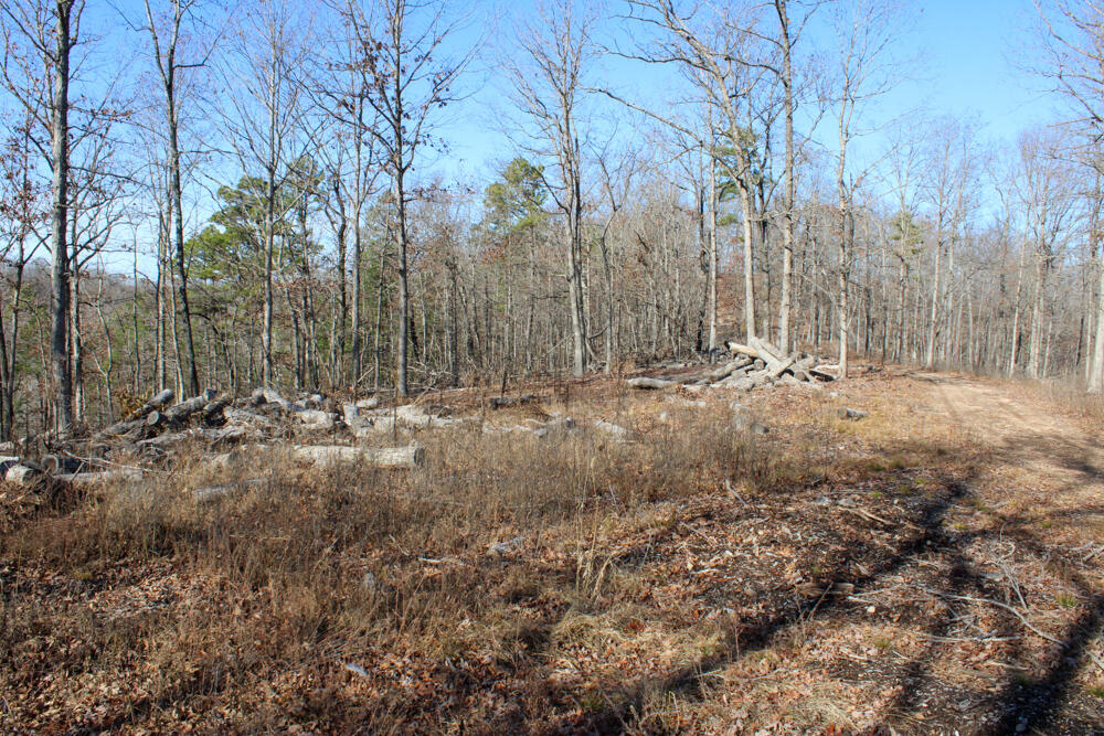 0000 County Road 336 Property Photo 30