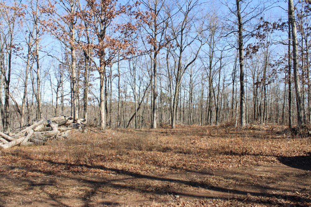 0000 County Road 336 Property Photo 31