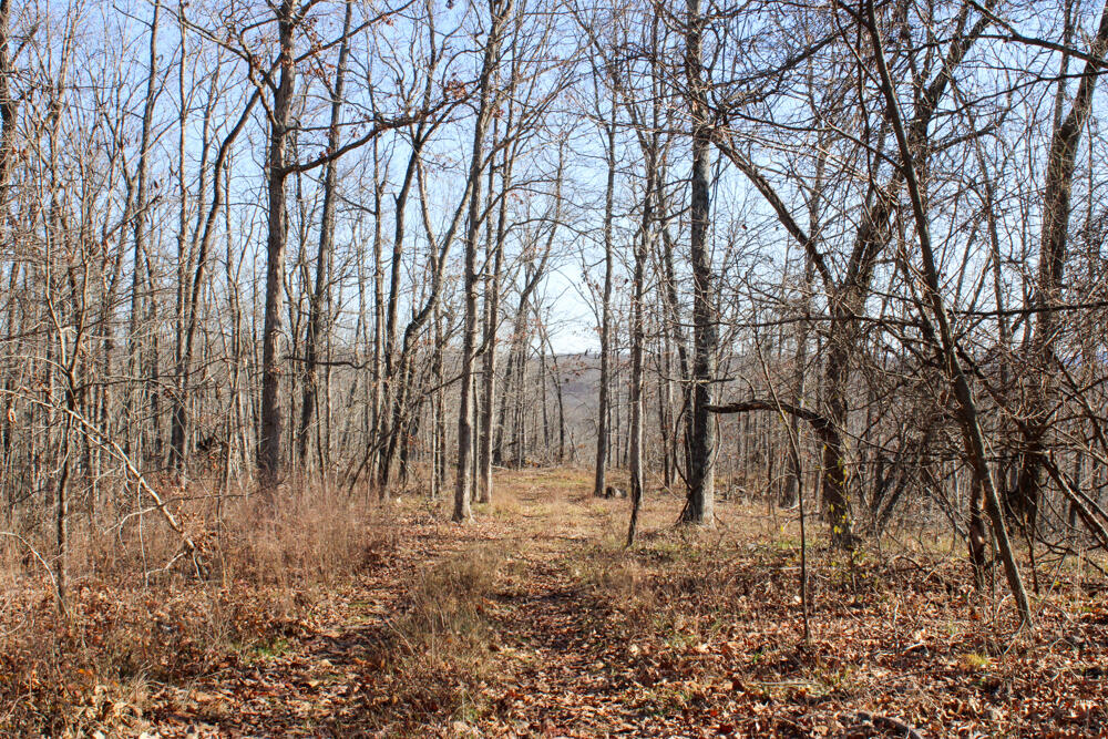 0000 County Road 336 Property Photo 32