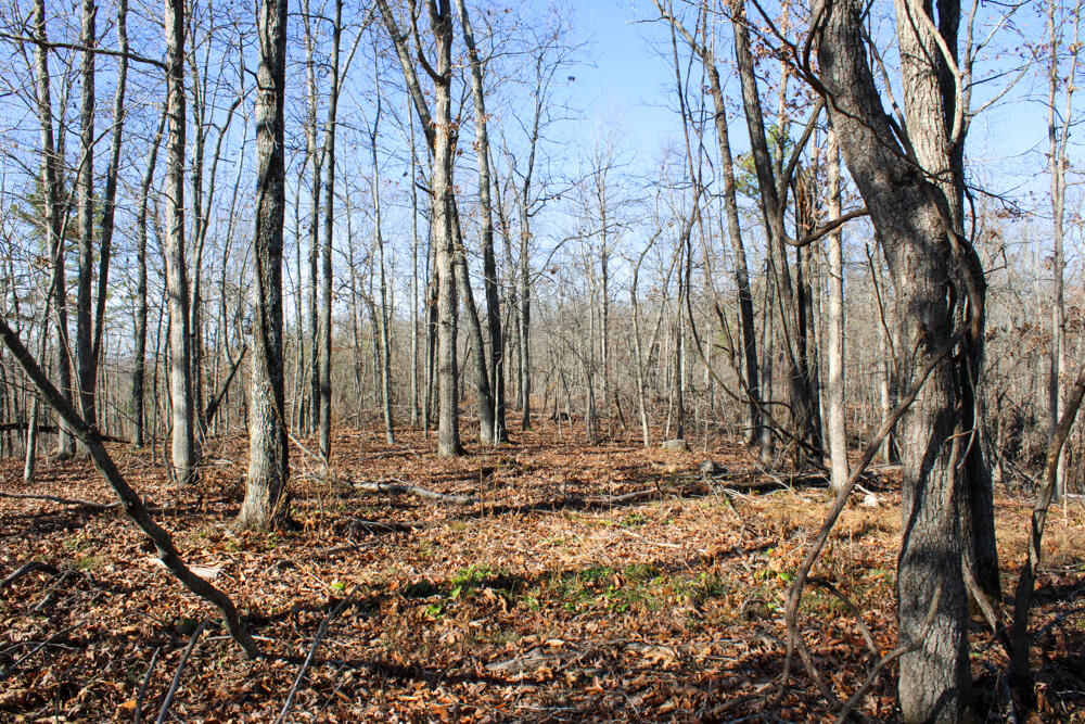 0000 County Road 336 Property Photo 33