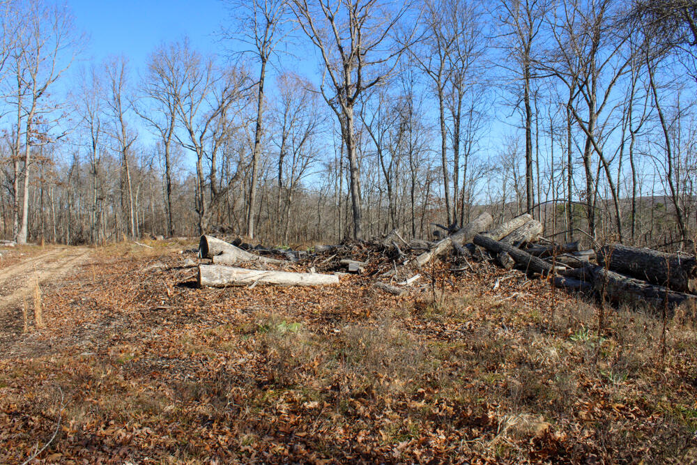 0000 County Road 336 Property Photo 34