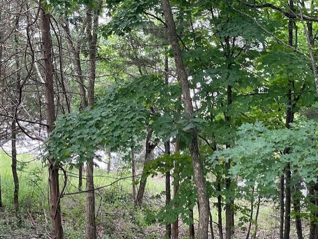 20 Redbud Lane Property Photo 8
