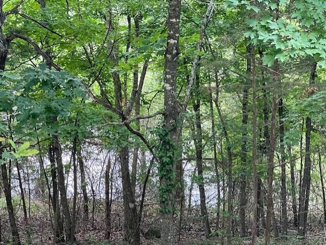 20 Redbud Lane Property Photo 9