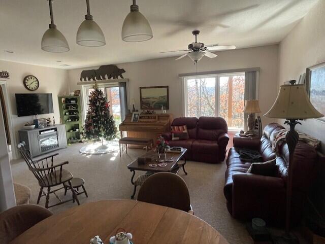 20 Redbud Lane Property Photo 22