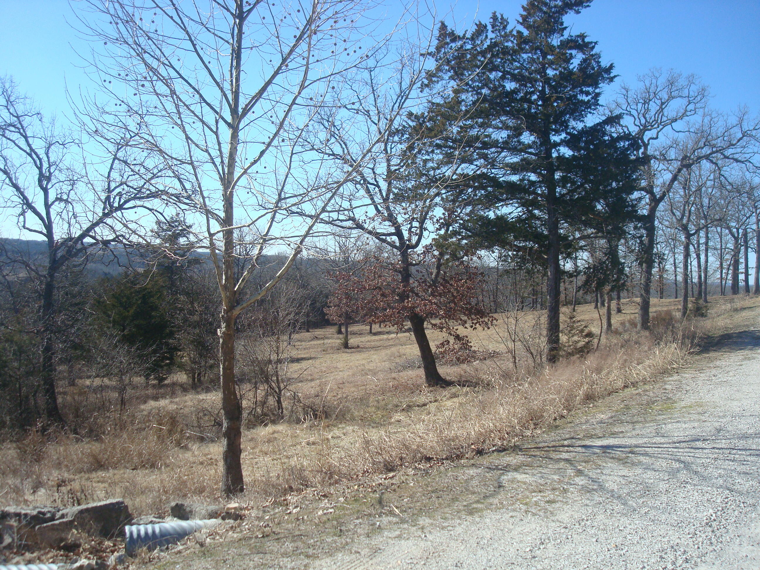 Lot 1 Cedar Bend Property Photo 7