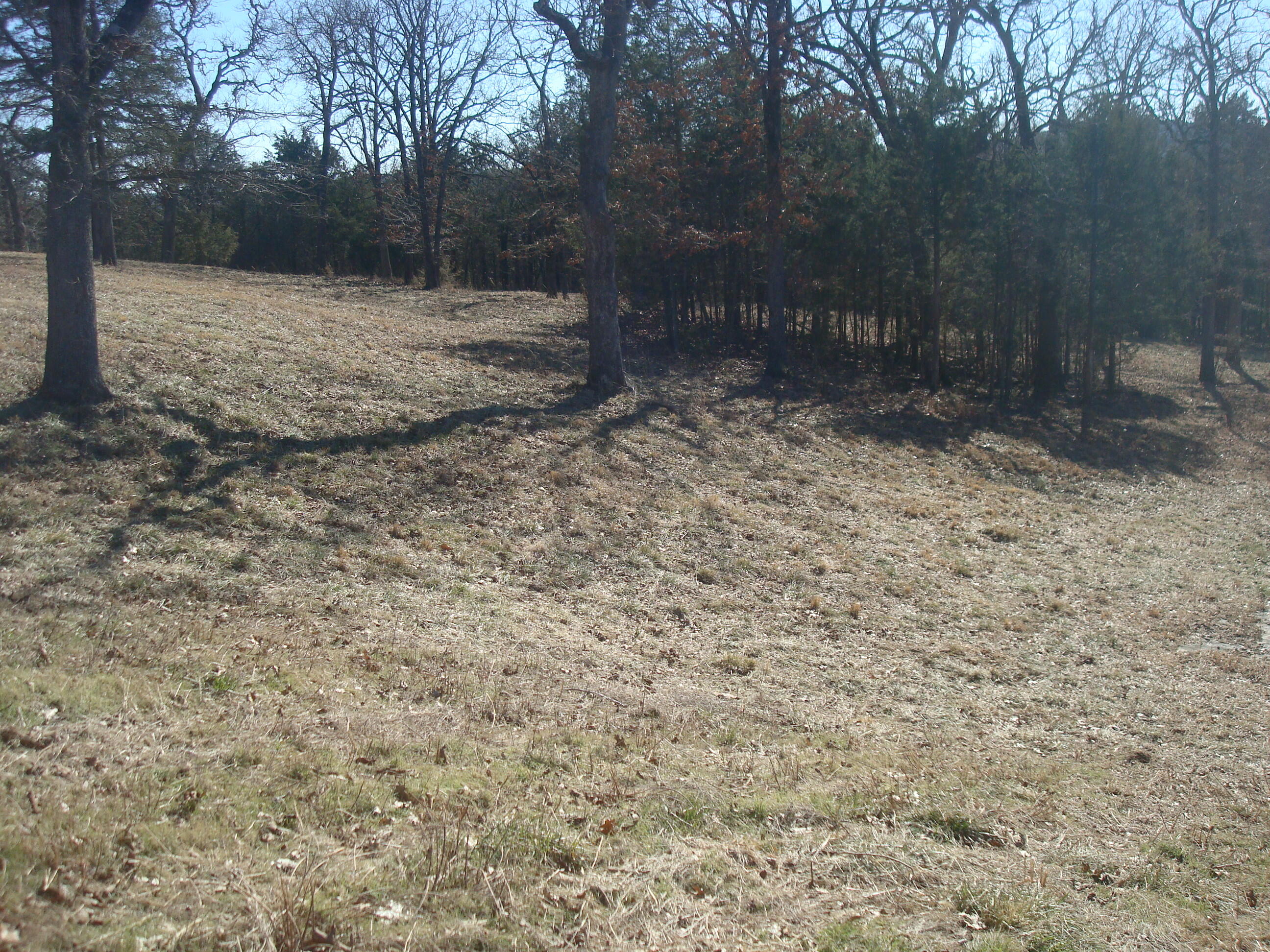 Lot 3 Cedar Bend Property Photo 9