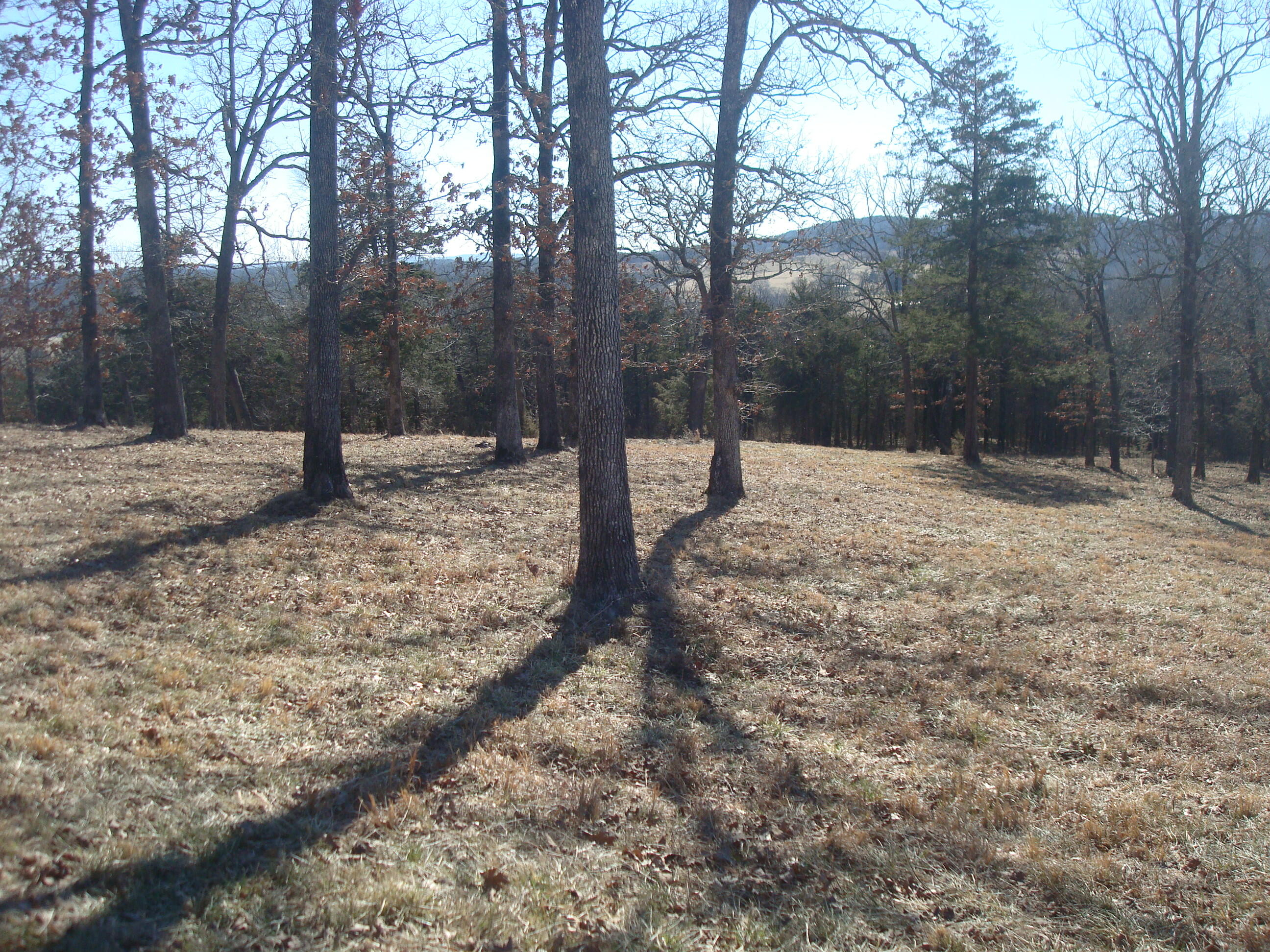 Lot 3 Cedar Bend Property Photo 13