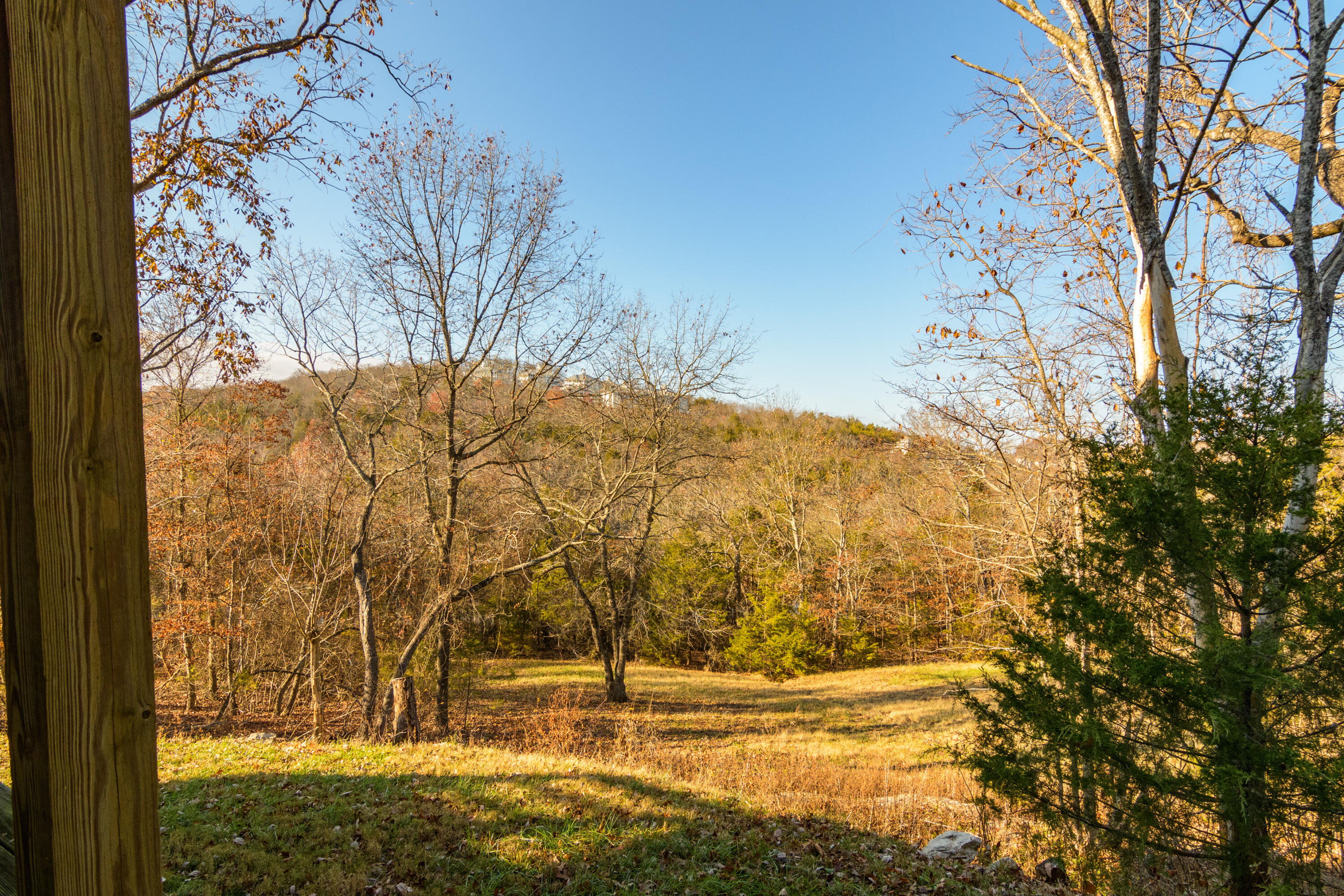 1829 Pokeberry Lane Property Photo 7