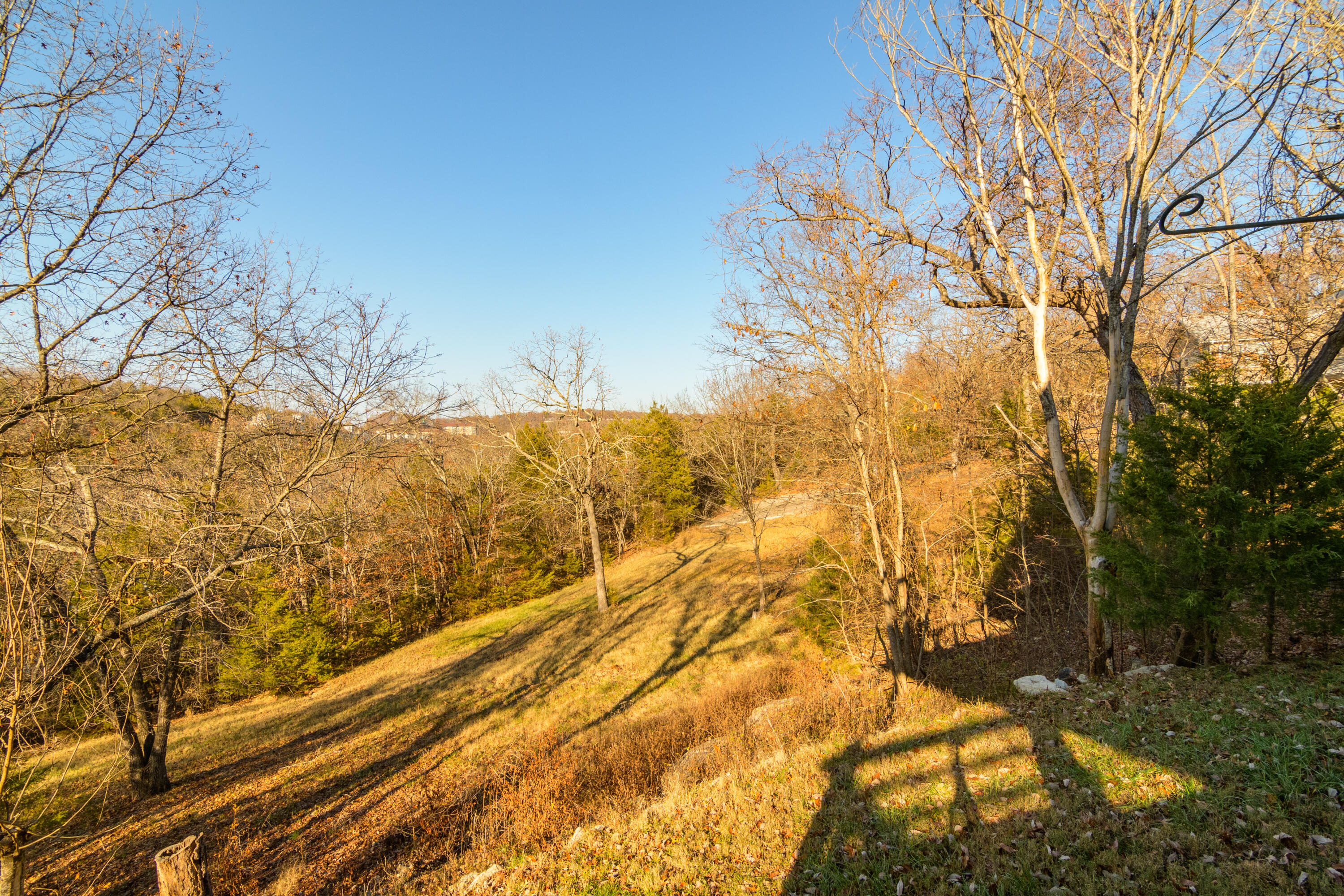 1829 Pokeberry Lane Property Photo 9