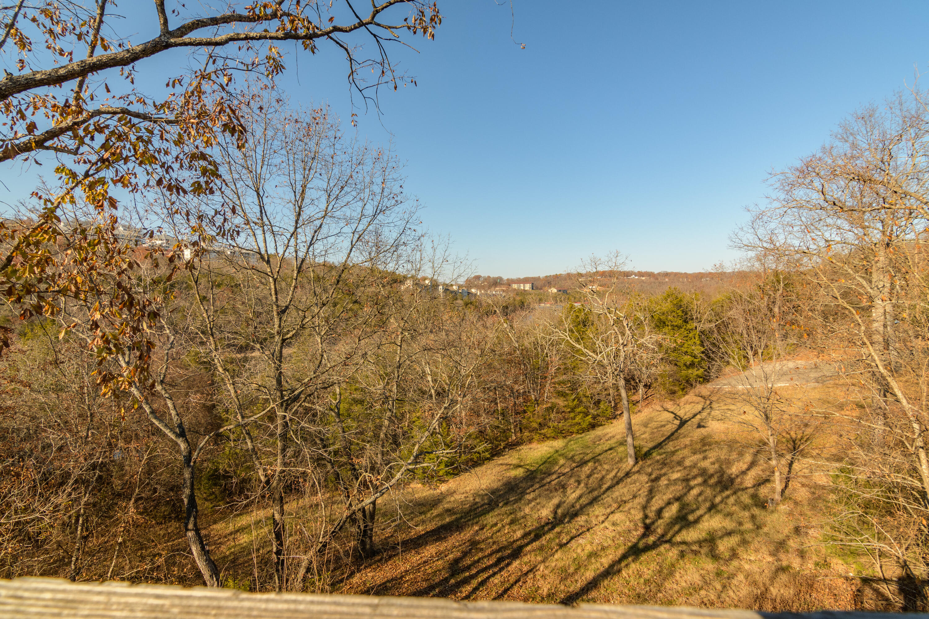 1829 Pokeberry Lane Property Photo 24