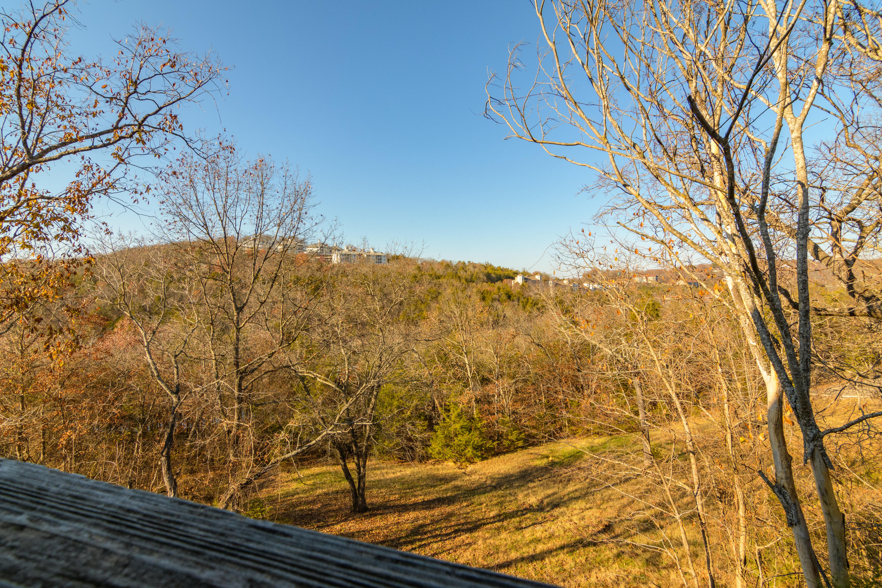 1829 Pokeberry Lane Property Photo 25