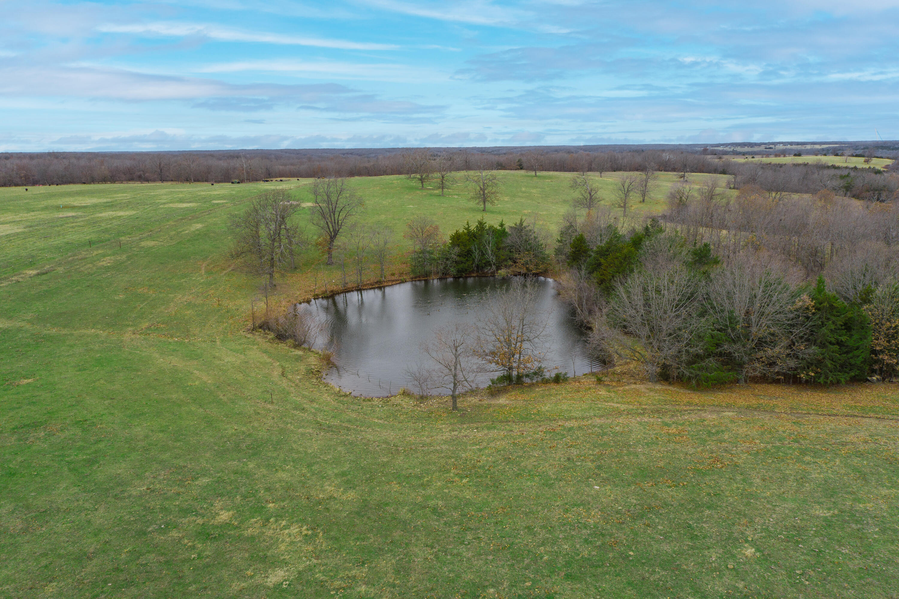 13790 Highway W Property Photo 81