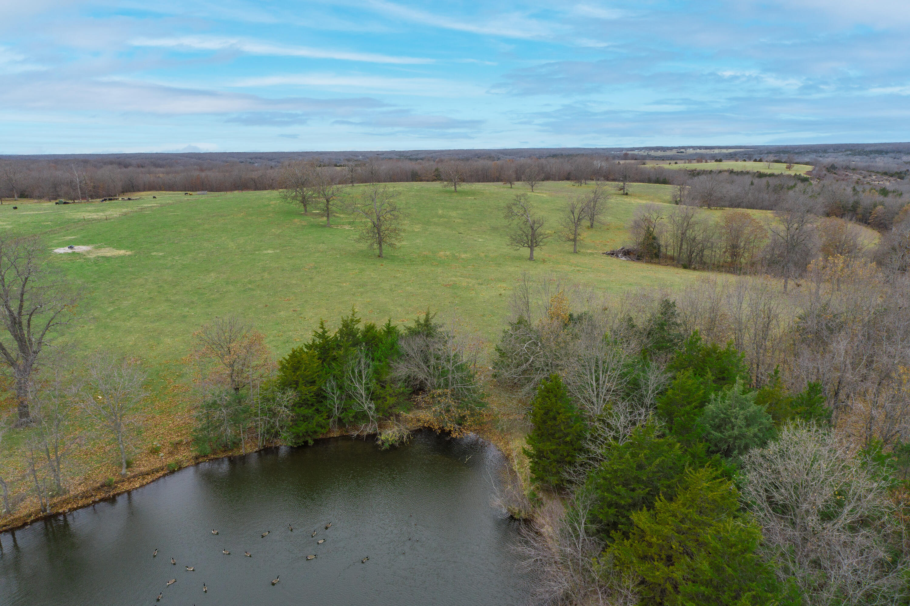 13790 Highway W Property Photo 82