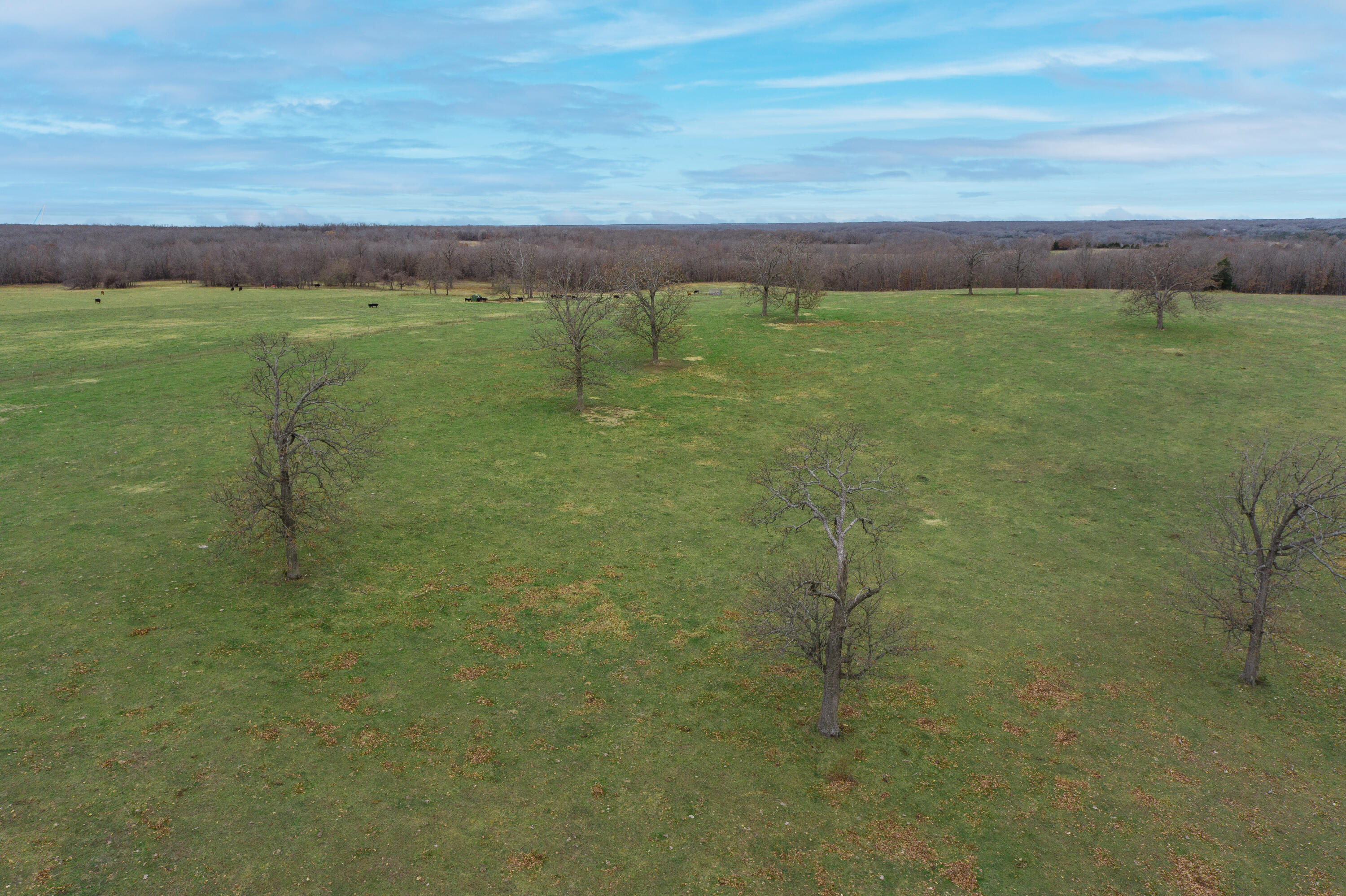 13790 Highway W Property Photo 84