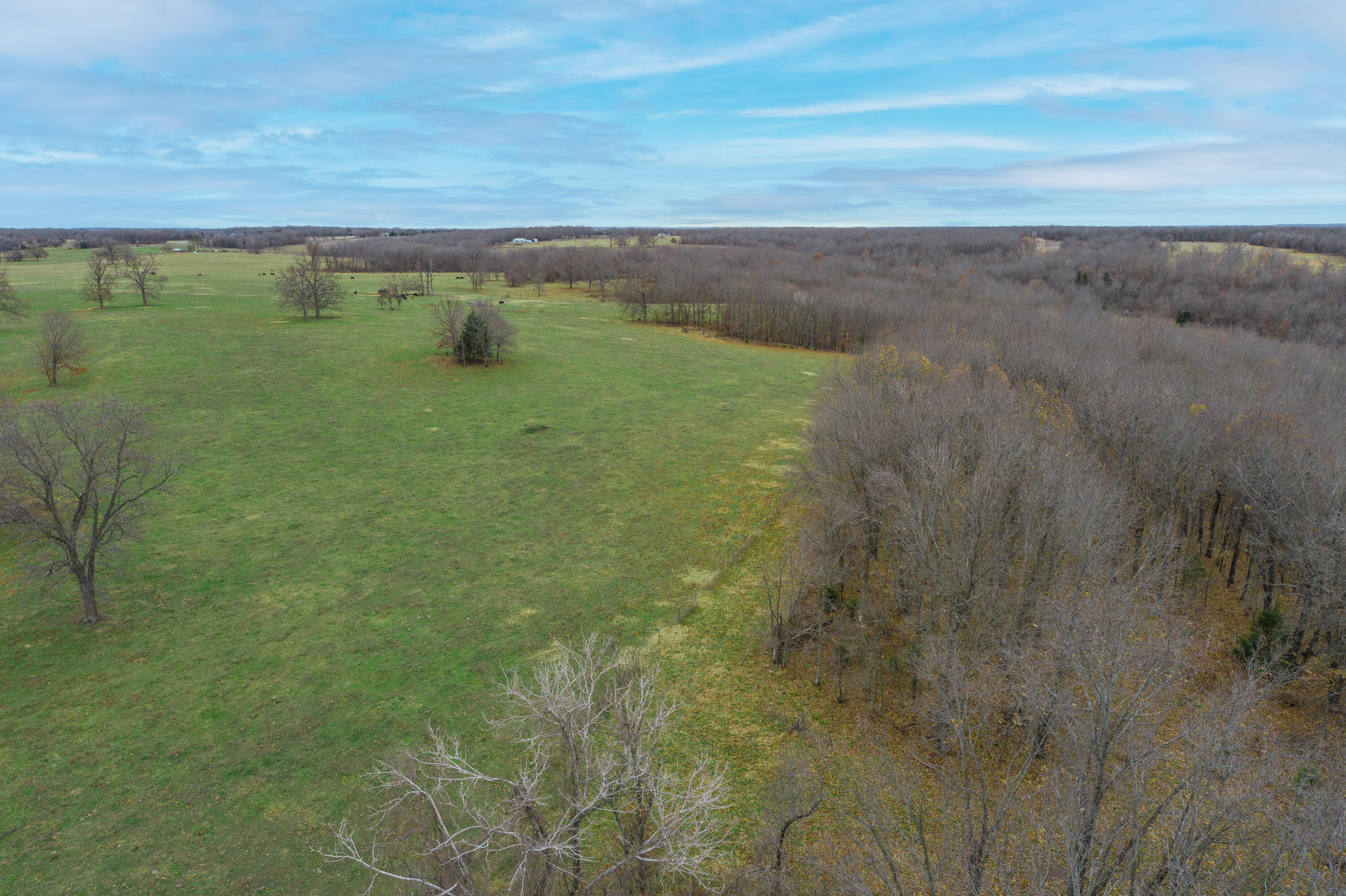 13790 Highway W Property Photo 86