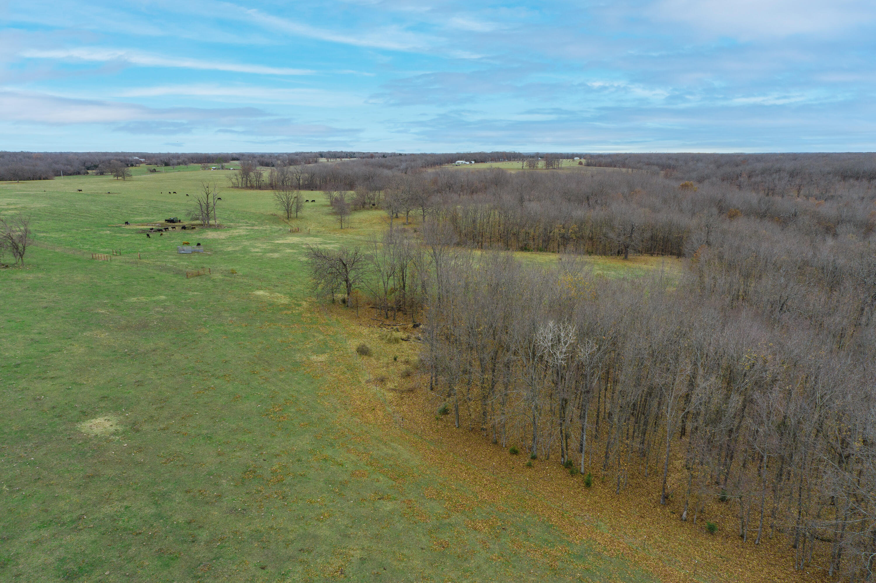 13790 Highway W Property Photo 88
