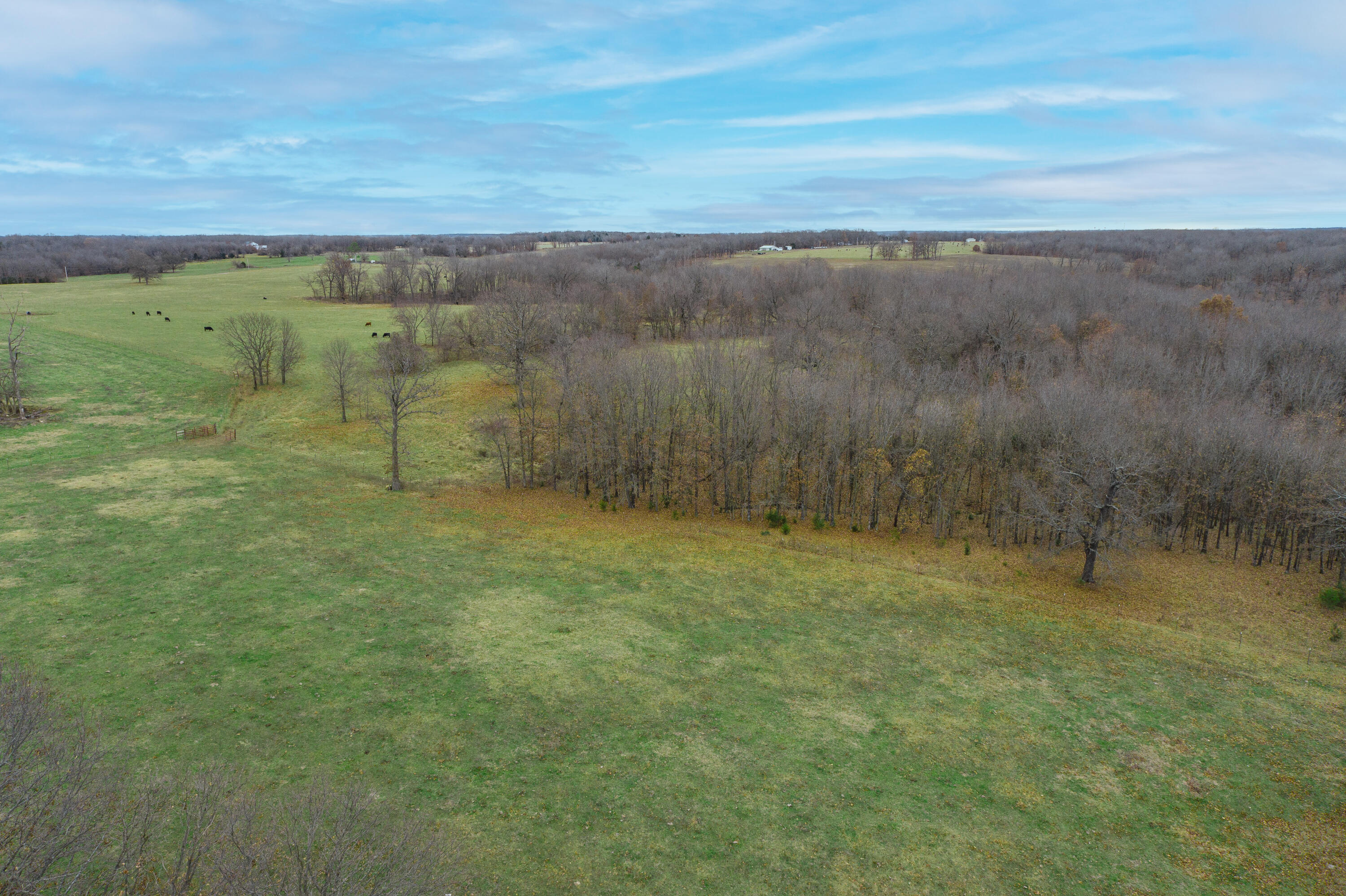 13790 Highway W Property Photo 89