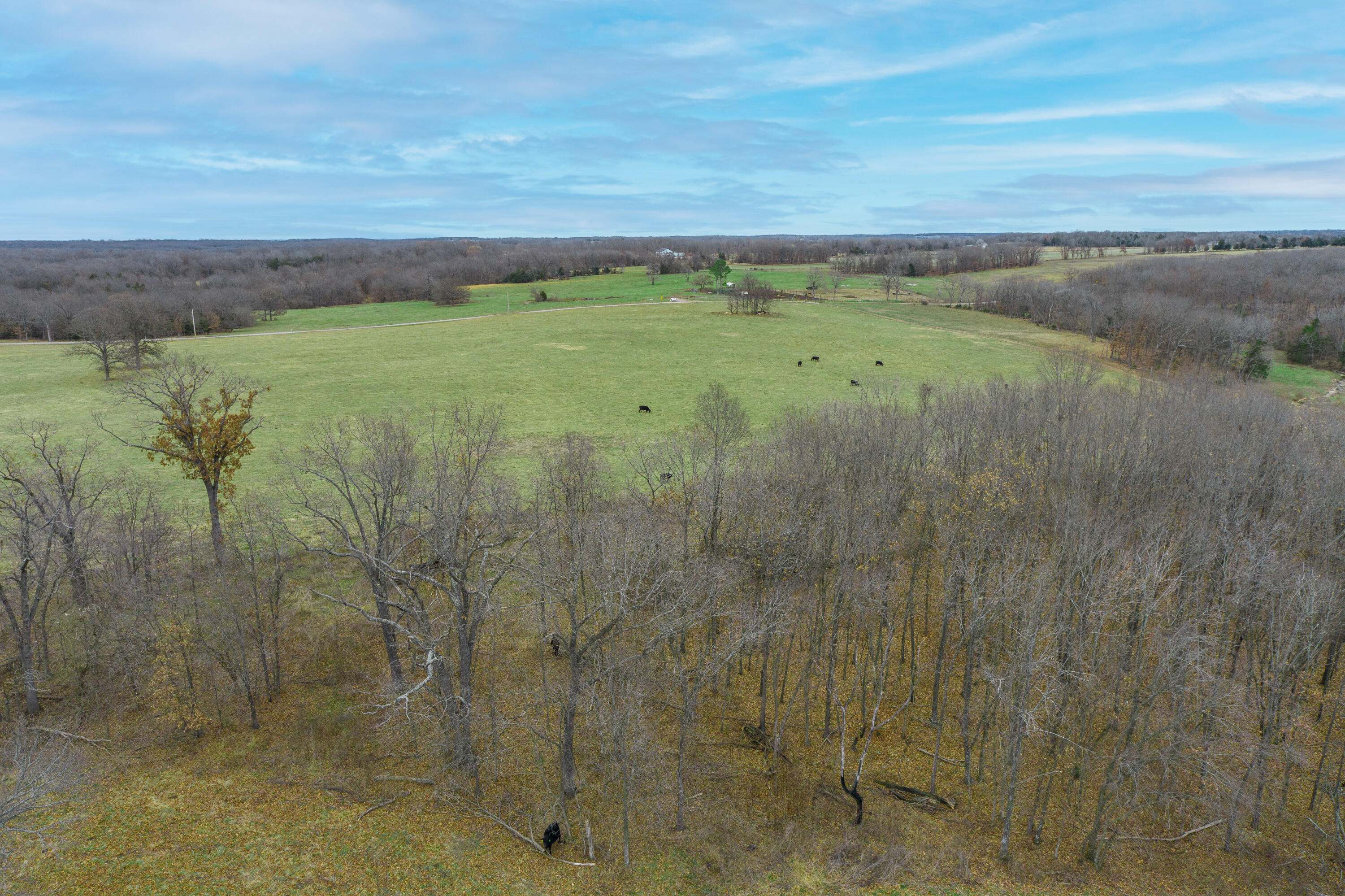 13790 Highway W Property Photo 91