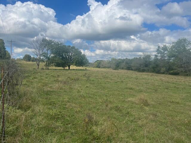 Tbd County Road 4220 Property Photo 3