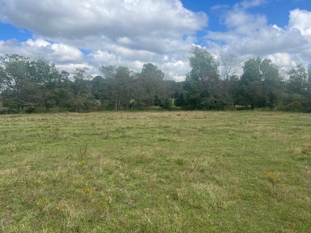 Tbd County Road 4220 Property Photo 6