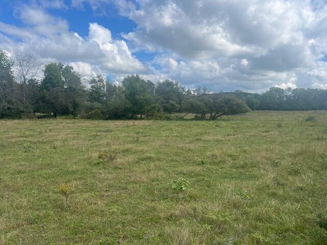 Tbd County Road 4220 Property Photo 7