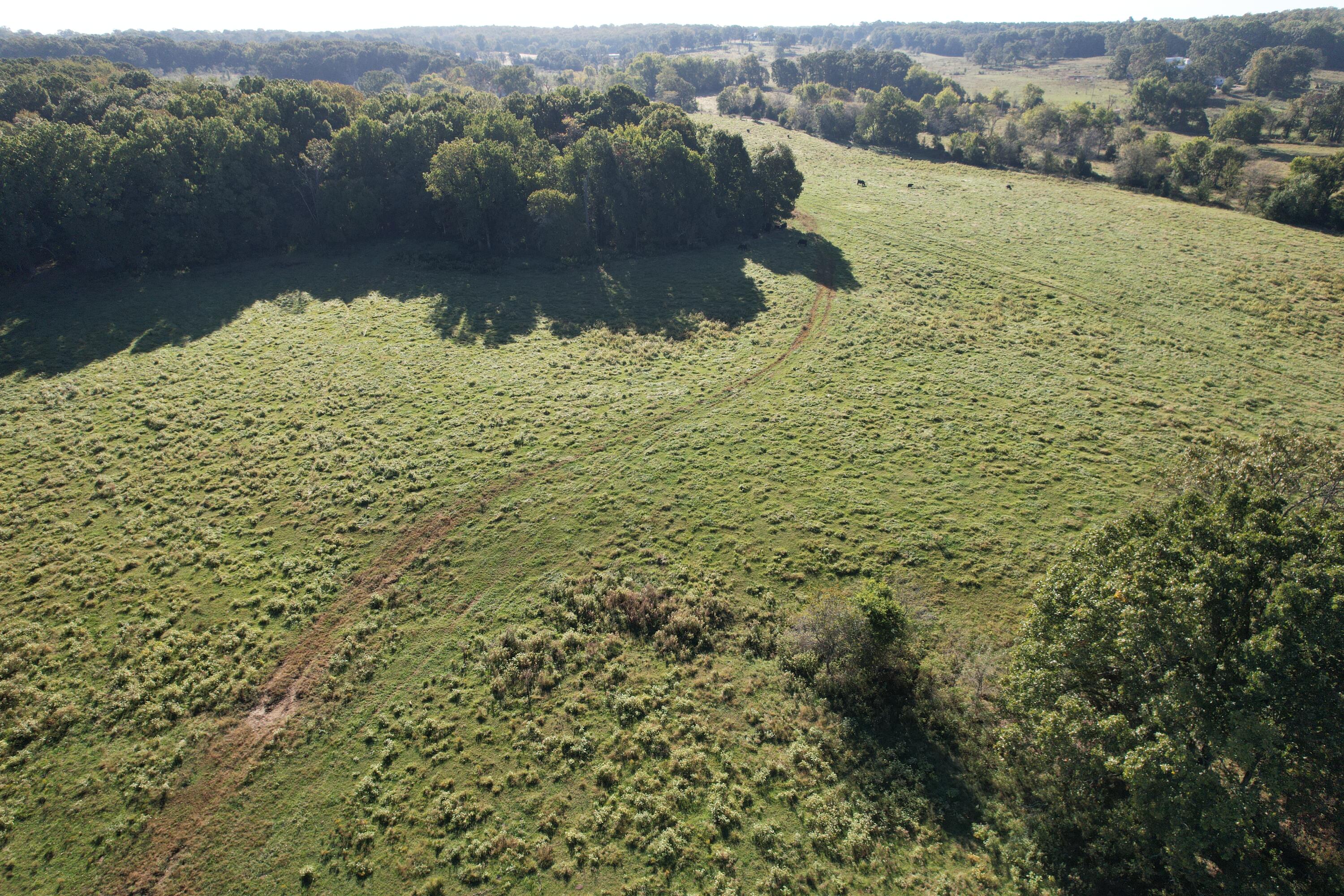 Tbd County Road 4220 Property Photo 10