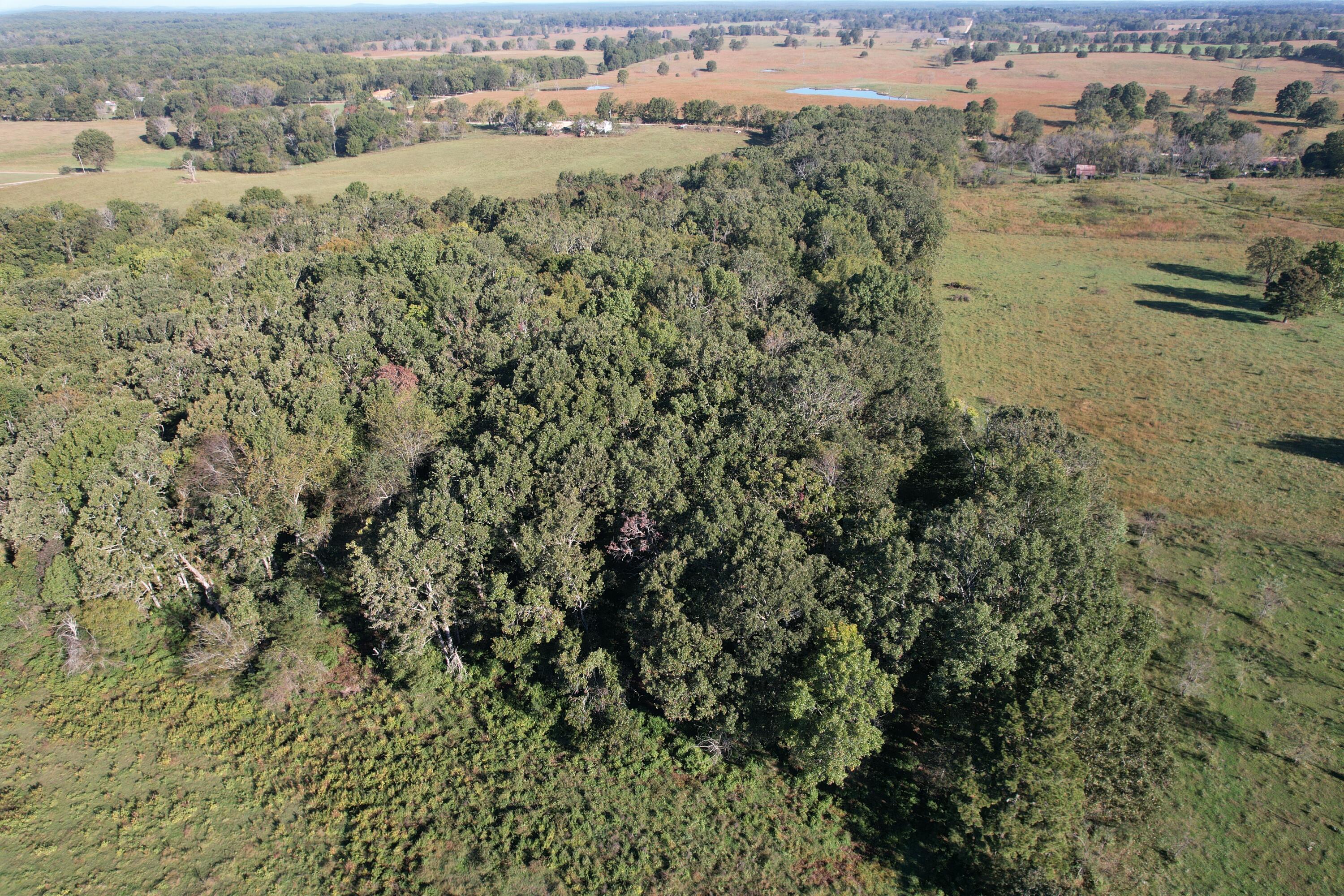 Tbd County Road 4220 Property Photo 14