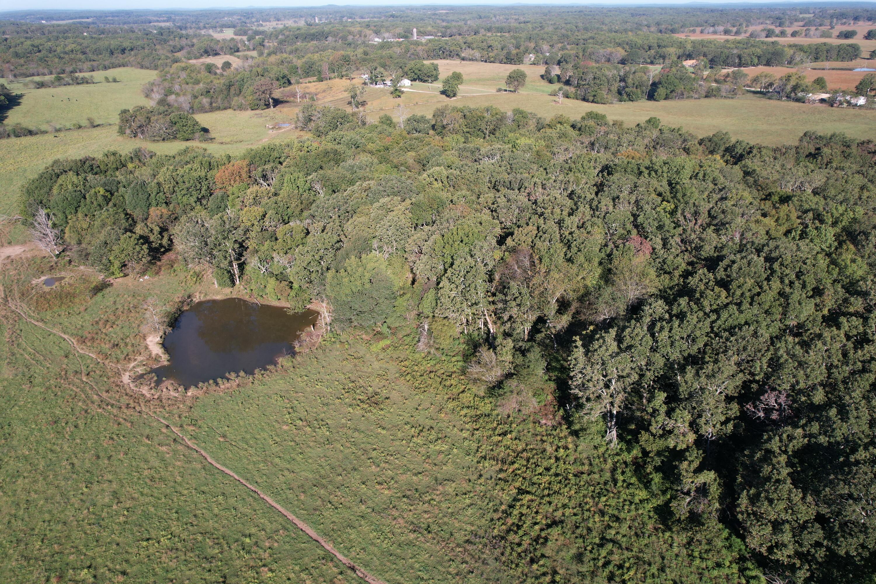 Tbd County Road 4220 Property Photo 15