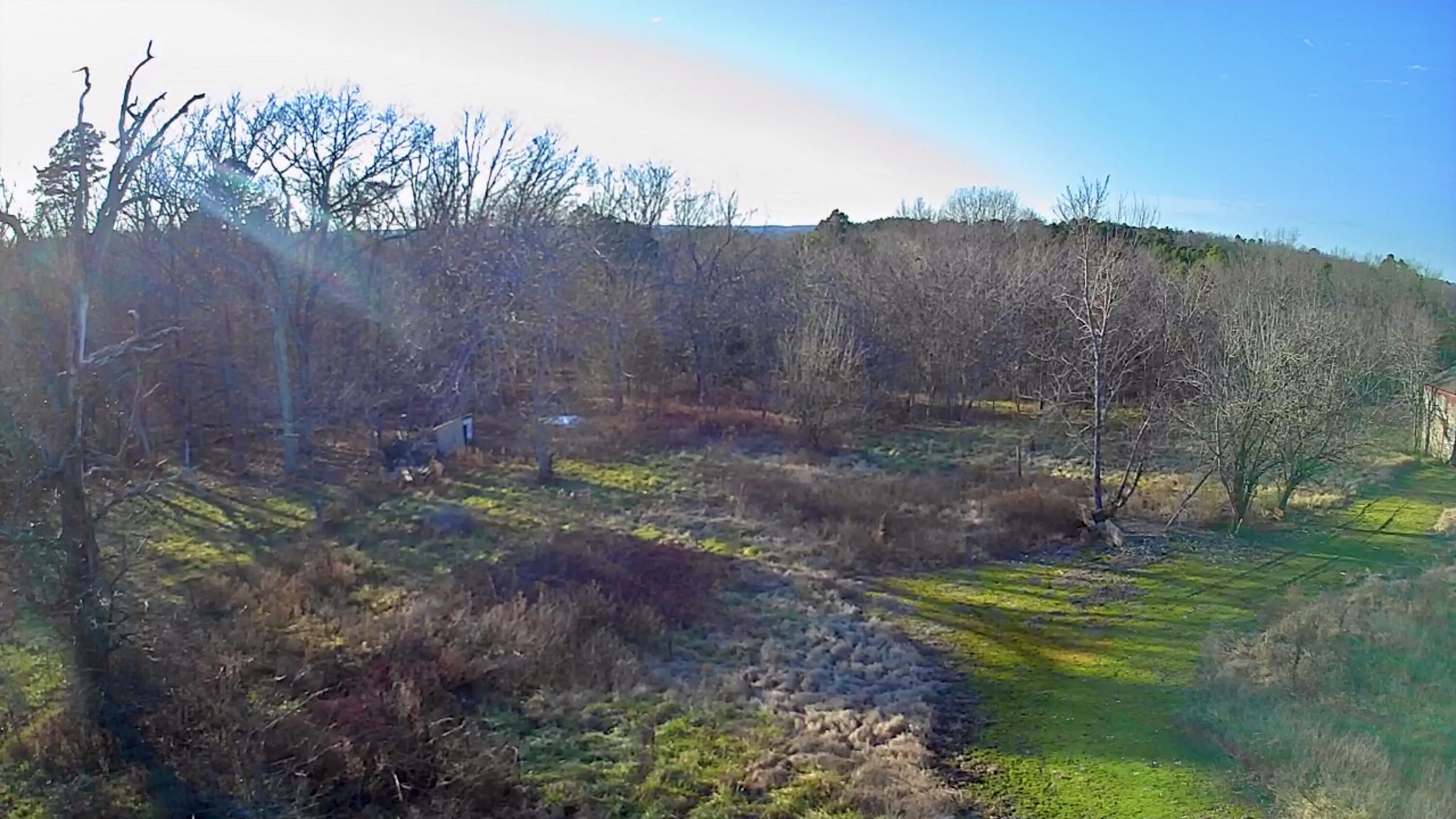 5417 Highway 17 Property Photo 20