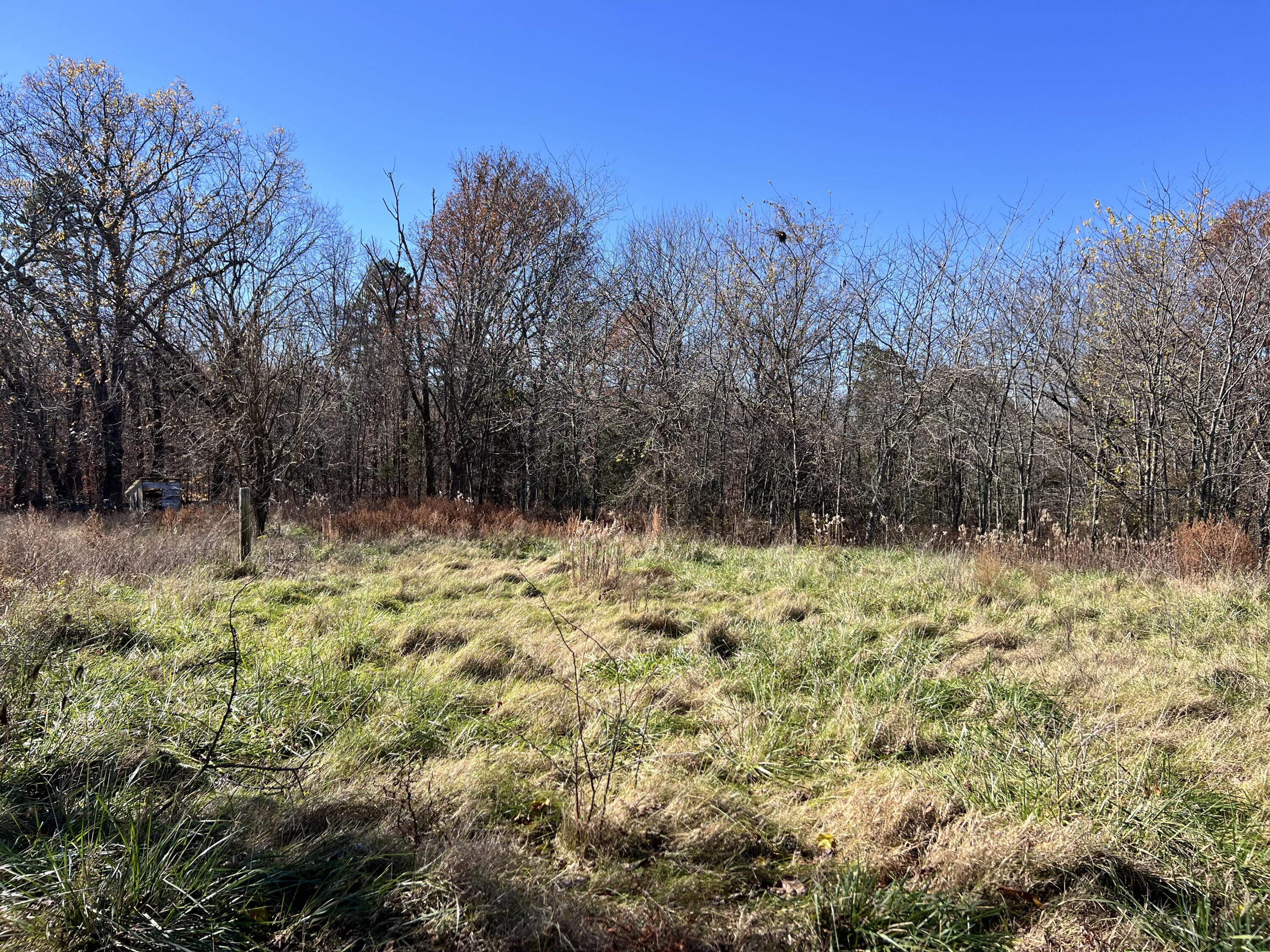 5417 Highway 17 Property Photo 29