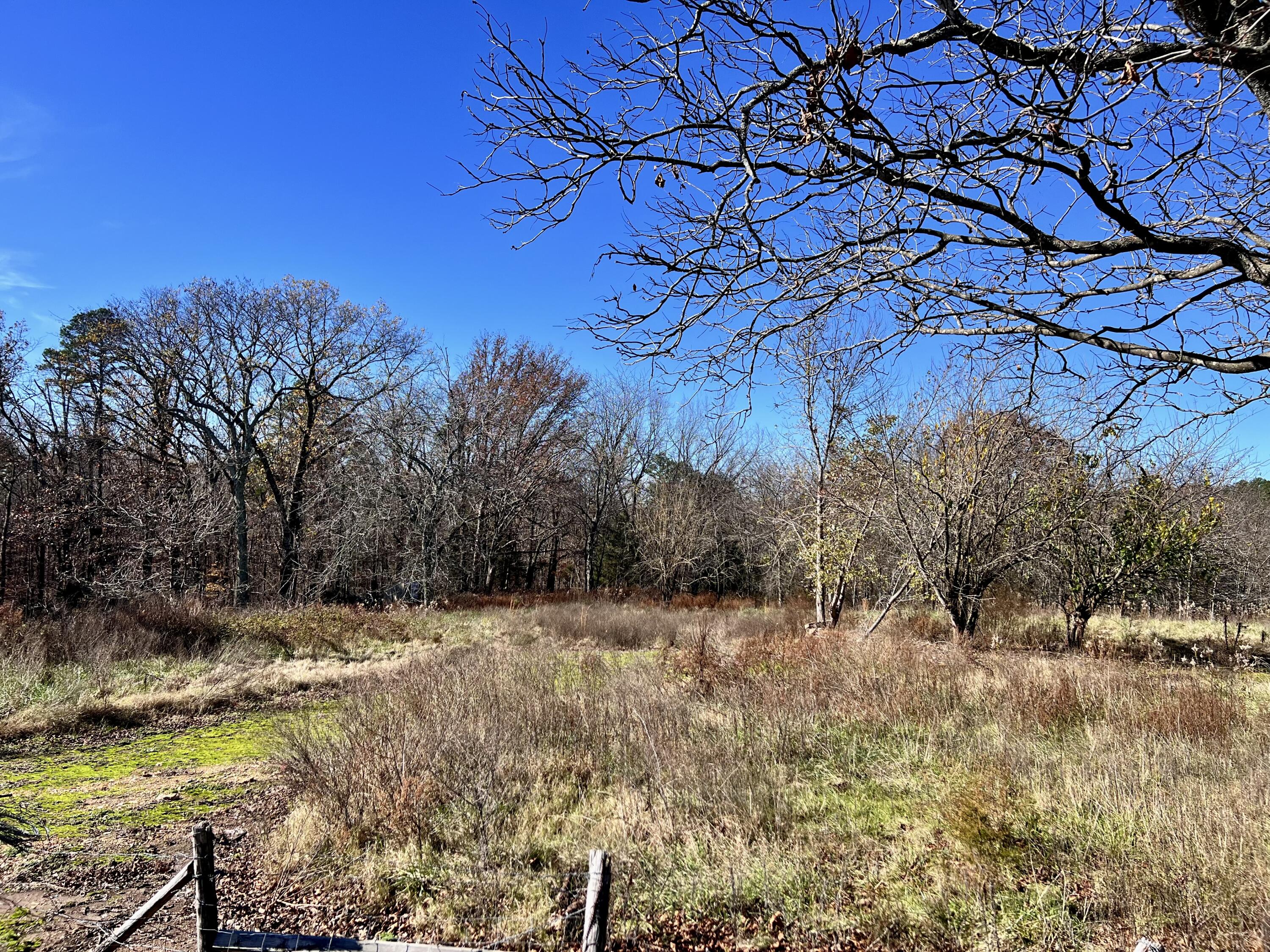 5417 Highway 17 Property Photo 30