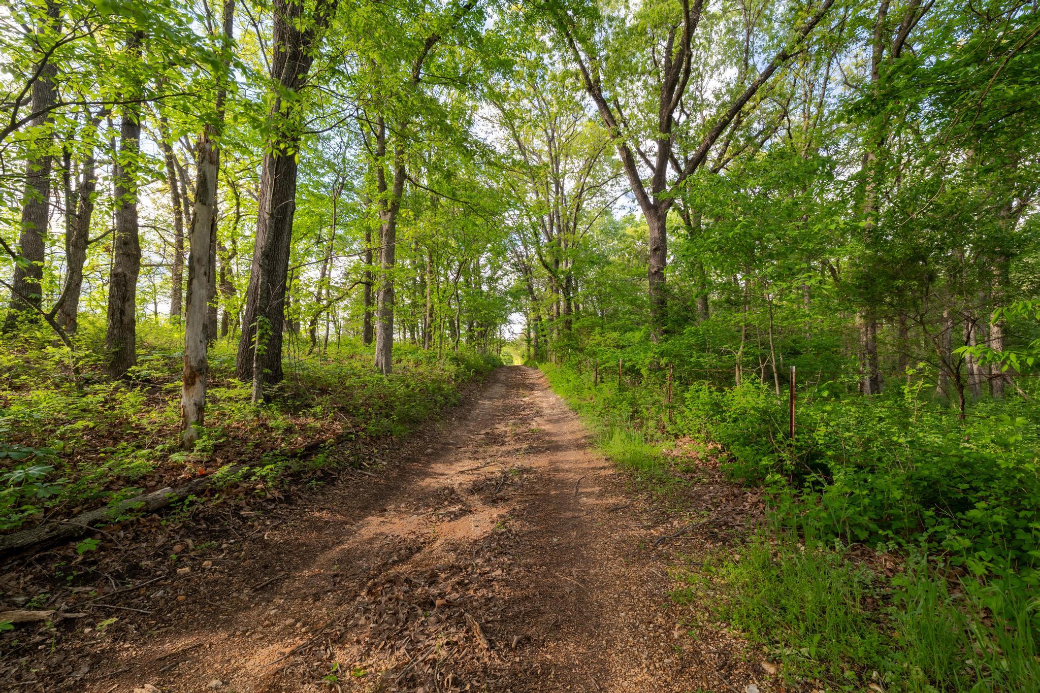7507 State Highway Bb Property Photo 9