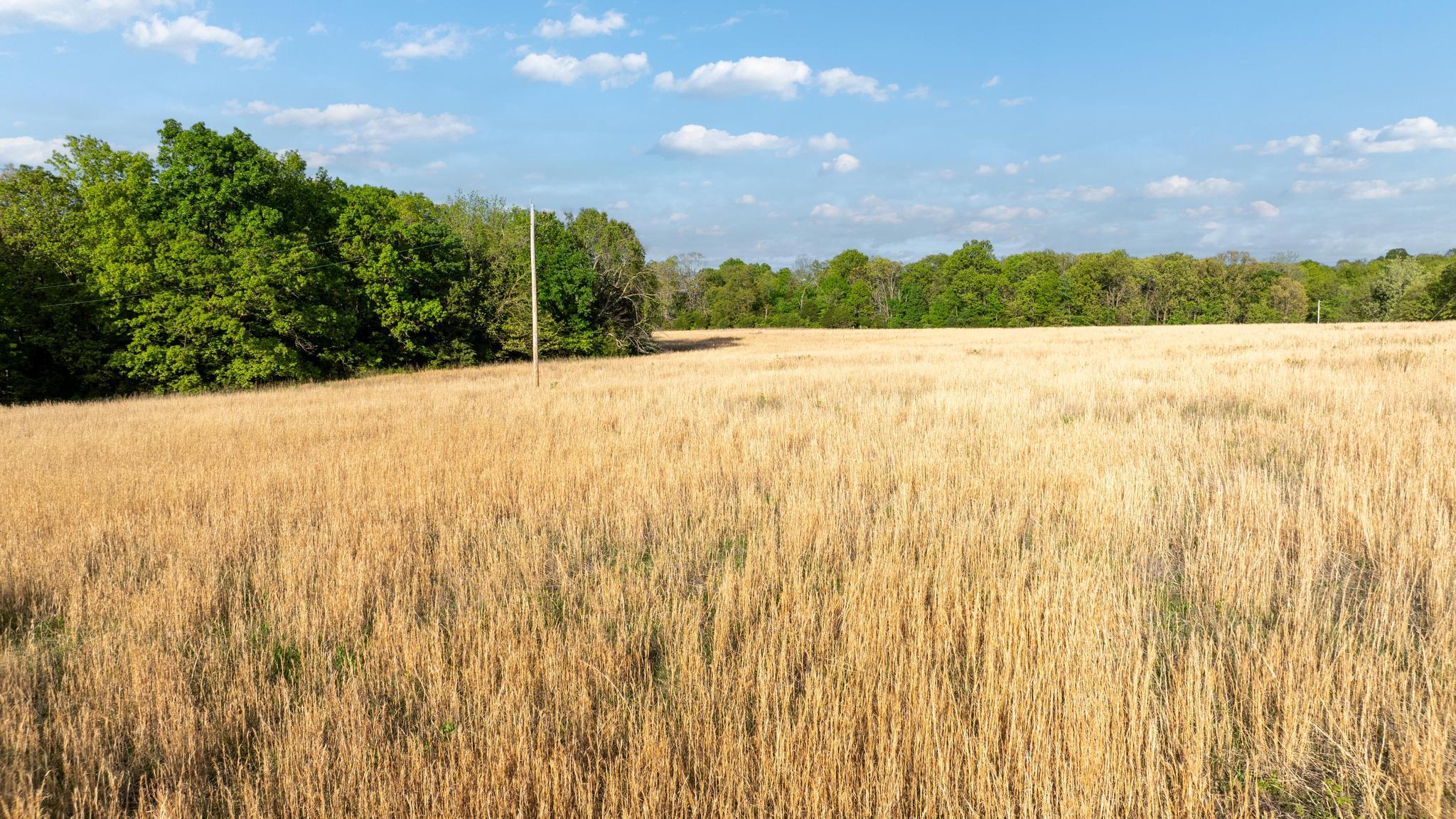 7507 State Highway Bb Property Photo 24