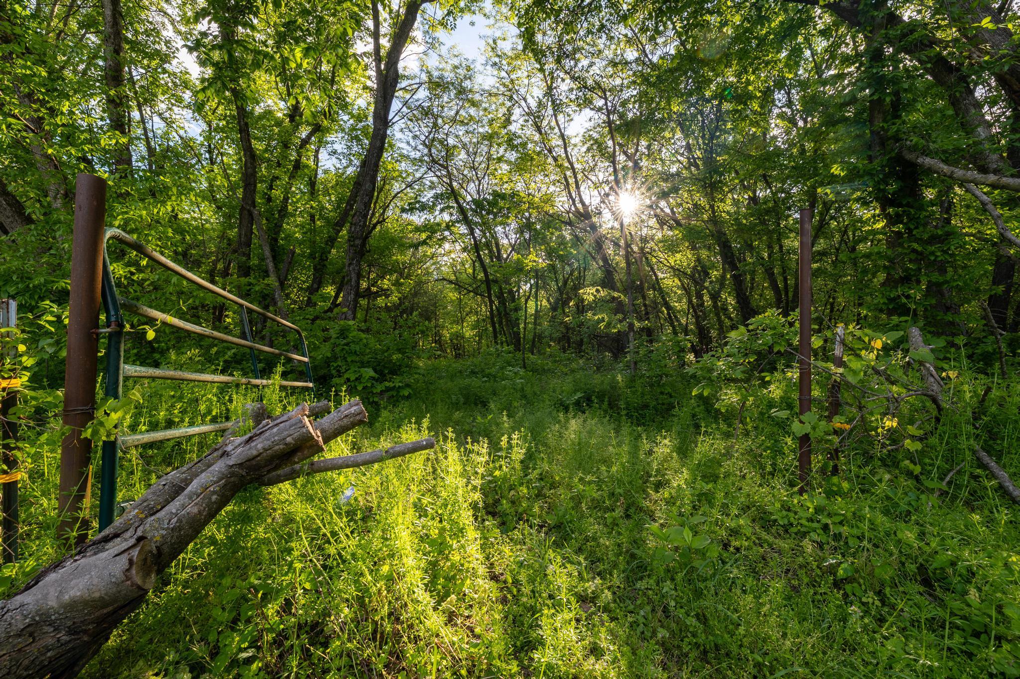 7507 State Highway Bb Property Photo 43