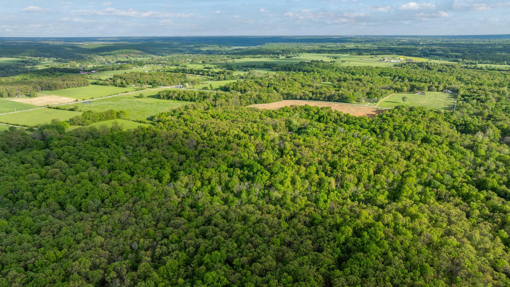 7507 State Highway Bb Property Photo 44