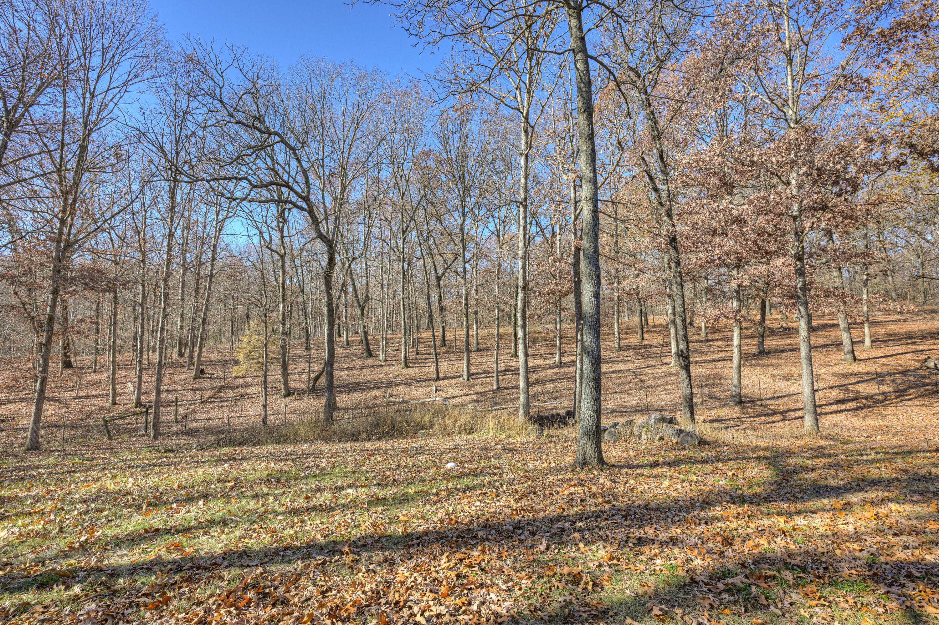 13592 Abilene Lane Property Photo 51