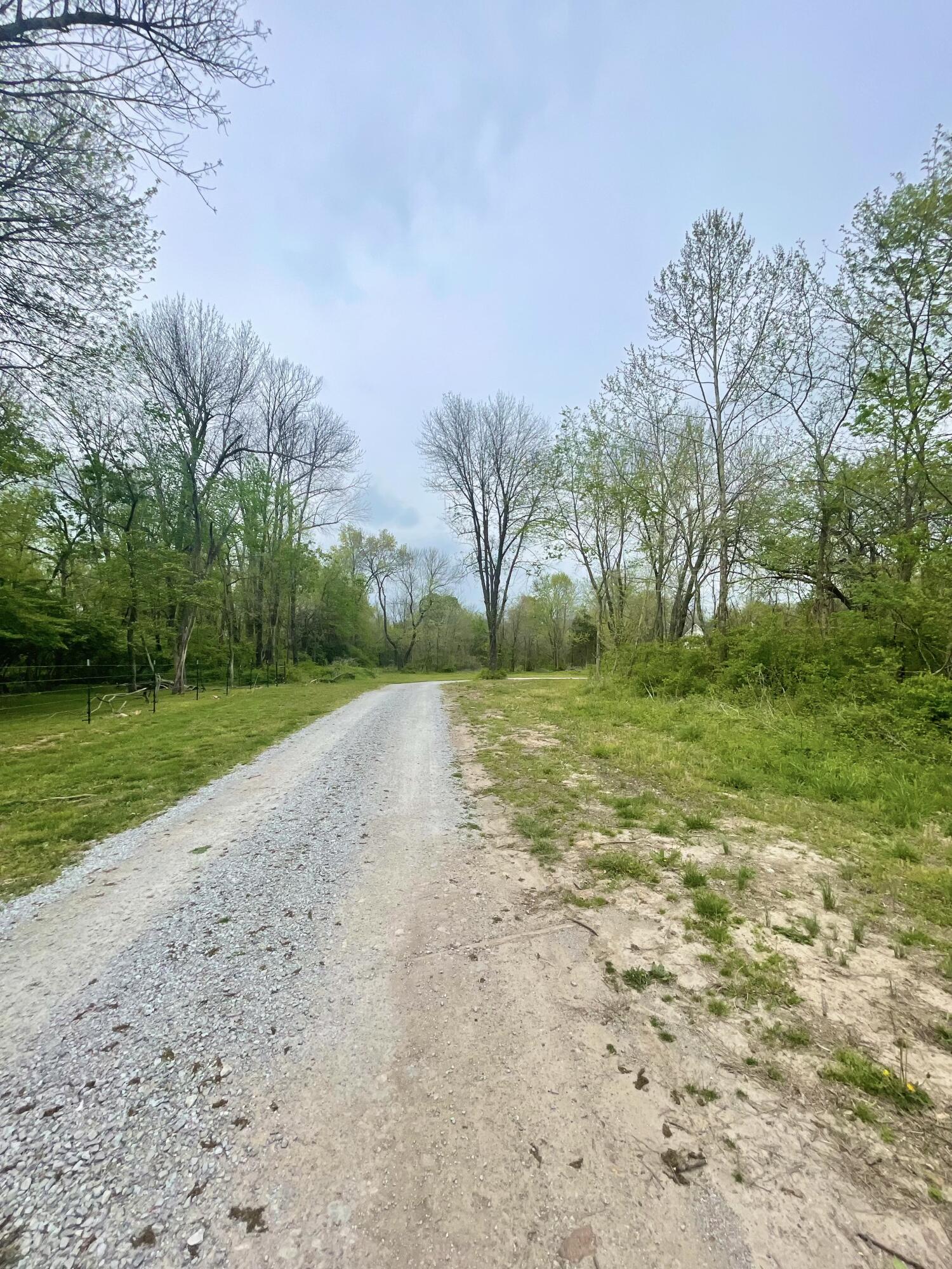 1+/- Highway D Property Photo 2