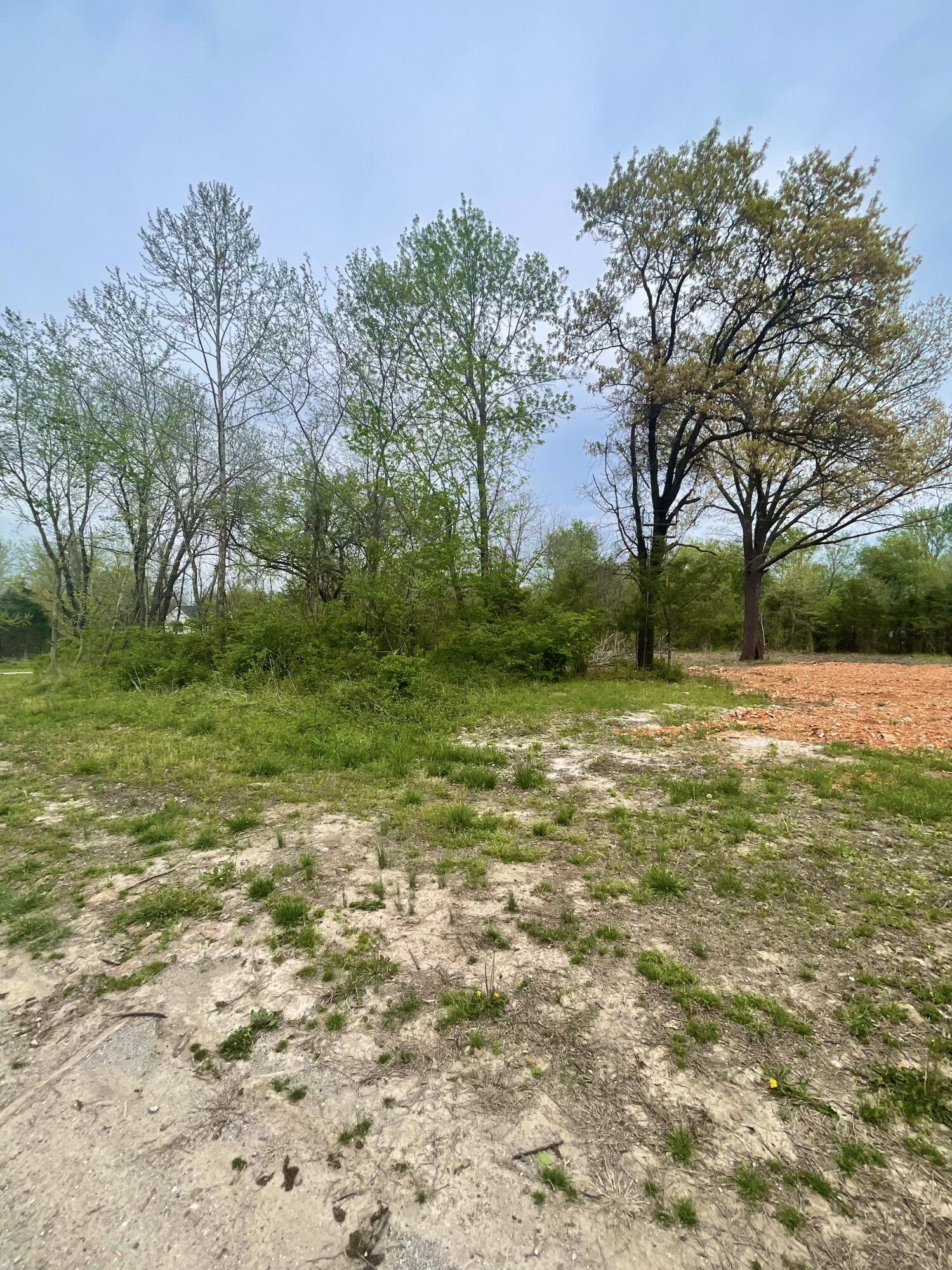 1+/- Highway D Property Photo 3